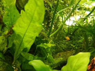 20190524064052793.jpg